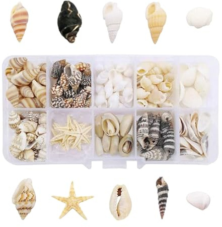 Hyxodjy 220 Stück Muscheln, Ungebohrt Muscheln Deko Natürliche Muscheln Deko mit Aufbewahrungsbox Gemischt Muscheln für Armbandschmuck, Vase Füllstoffe, Fisch Panzer, DIY Kunsthandwerk Aquarium Dekor
