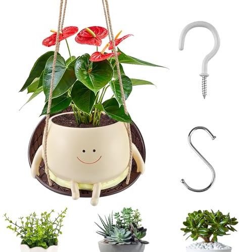 CMANLNYK Swing Hanging Face Planter Pot - Resin Cute Plant Pot Smile Face Flower Pot for Succulent Planter Pet for Garden Indoor Outdoor Home Office Decor Gift (Large Size)