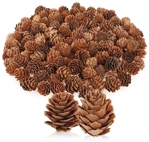 com-four® 200x Dekozapfen Lärche - Streudeko für Herbst und Winter - Zapfendeko - kleine Lärchenzapfen - Tannenzapfen (200x Lärchenzapfen Natur)