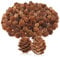com-four® 200x Dekozapfen Lärche - Streudeko für Herbst und Winter - Zapfendeko - kleine Lärchenzapfen - Tannenzapfen (200x Lärchenzapfen Natur)