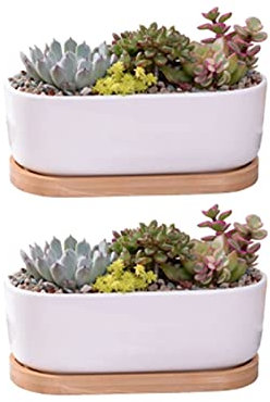 Maceta 2 Piezas Maceta suculenta Maceta de cerámica con Bandeja Orificios de Drenaje Decoración del jardín del hogar Plantas de casa, suculentas, Flores