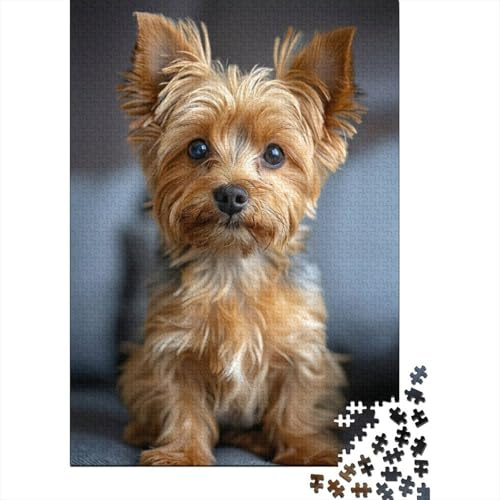 Yorkie Puppy Cute Recycled Cardboard Sheets Yorkshire Terrier Jigsaw Puzzles for Adult, Educational Game Decompression, For Wall Decoration And Gifts, for Puzzle Lovers 70x50cm/1000pcs