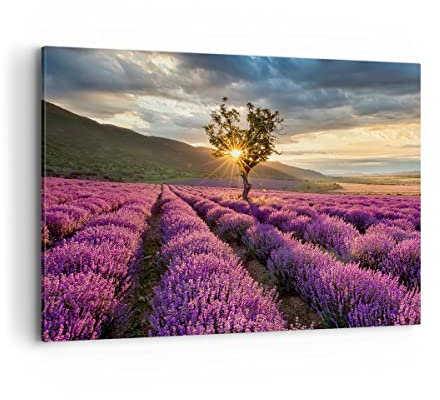 Wandbilder Dekoration Wohnzimmer Lavendel Berge Feld Bilder auf Leinwand 120x80cm Leinwandbild Schlafzimmer Küche Deko Wand Kunstdruck Art Groß XXL Wanddeko Bild Wall Decor Canvas AA120x80-3645