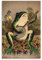HAPPOW Frosch-Wandkunst-Poster, Retro, ein Frosch, der Banjo im Mondlicht spielt, dekoratives Gemälde, Leinwand, Wandkunst, Dekoration für Zuhause, Schlafzimmer, Dekoration, Poster, 30 x 45 cm