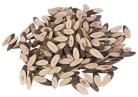 SEWACC 100St Holzscheiben DIY Bastelscheiben Geschenkanhänger selber machen hochzeitsdeko hochzeit dekoration hochzeitdeko bastel material hochzeitsdeco Holz Baumscheiben Protokoll