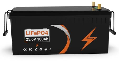 Lifepo4 batteria 24V 100AH 2560Wh, batteria al litio ferro fosfato, 5000 cicli di vita, built-in BMS, batteria al litio per sistema solare, UPS Per camperistiche solari marine di trasporto terrestre