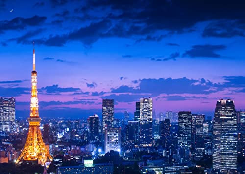 Displate - Poster aus Metall - Magnet-Montage - World Class Photos - Cityscapes - Tokyo night view - Größe L - 67,5x48cm Matt