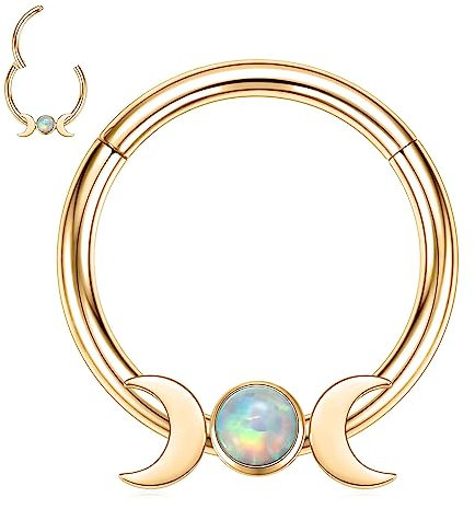 16G Septum Nasenring Gold Daith Ohrringe Chirurgenstahl Conch Ohrring Higned Segment Seamless Clicker Ring Opal Septum Ring Septum Jewellery Rook Helix Cartilage Tragus Helix Earring 10mm(with Moon)
