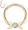 16G Septum Nasenring Gold Daith Ohrringe Chirurgenstahl Conch Ohrring Higned Segment Seamless Clicker Ring Opal Septum Ring Septum Jewellery Rook Helix Cartilage Tragus Helix Earring 10mm(with Moon)
