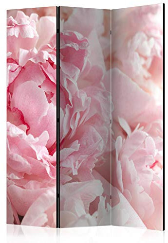 murando - Paravento da Interno Fiori 135x172 cm 3 Pannelli - Stampa Bilaterale su Tela in TNT - Separe per Ufficio Ambienti Paraventi Decorazioni Moderno Soggiorno - Natura b-B-0389-z-b