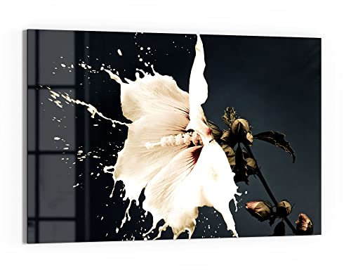 DEQORI Glasbild Echtglas | Motiv Milchige Blüte | horizontal einteilig 90x60 cm | schöne Dekoration | Wandbild für Wohnzimmer, Schlafzimmer, Flur & Küche | moderne Wanddeko