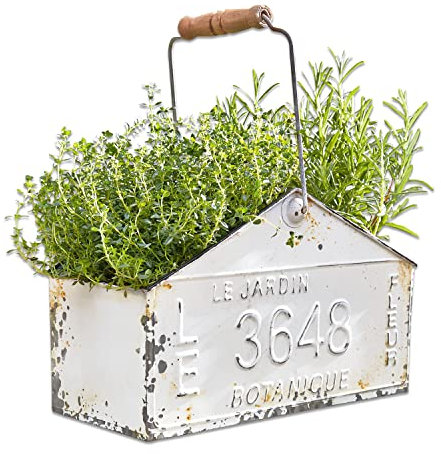 Loberon Korb Botanique, mit französischer Vintage-Prägung, vielseitig und funktionell, mit praktischem Holzgriff, Gartenarbeit, Pflanzgefäß, Zinn, Tannenholz, antikweiß