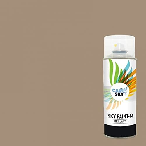 CARSKY RAL Sprühfarbe Beige Grau 1019 Hochglanzfinish 400ml