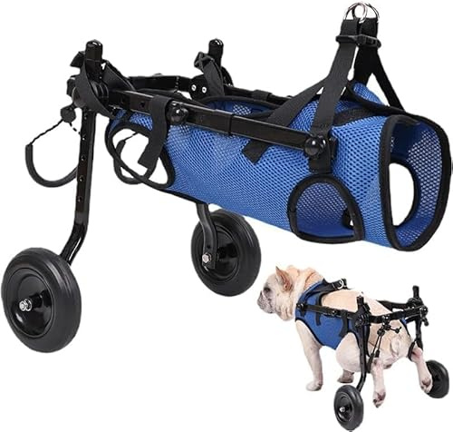 Hunderollstuhl, Behinderter Hund, Behinderte Hundehilfe, Hundewagen, leicht, größenverstellbar, geeignet für kleine und mittelgroße Hunde (neuestes Modell) (Blau XS)
