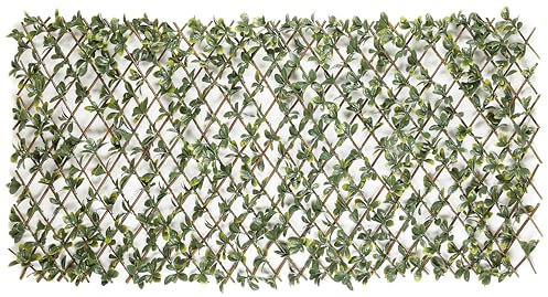 Garden Deluxe Dekozaun Bayberry dekorativer wetterfester Sichtschutz für Garten und Balkon - größenverstellbar und schalldämmend 100 x 200 cm