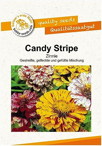 Blumensamen Candy Stripe Mix Zinnie Portion