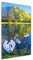 Tulup - Impression sur Verre Acrylique - 50x100 - Image sur Plexiglas - Déco Mural derrière Le Plastique - Tableaux pour la Mur - Mural Art Décoration - Animaux - Multicolore - Les cygnes sur l'étang