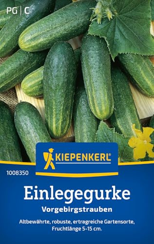 Kiepenkerl Einlegegurkensamen Vorgebirgstrauben 1008350, Gemüsesaat | Robuste und ertragreiche Gartensorte, Fruchtlänge 5-15 cm, Wuchshöhe 30-120 cm, für Beet, Freiland & Topf