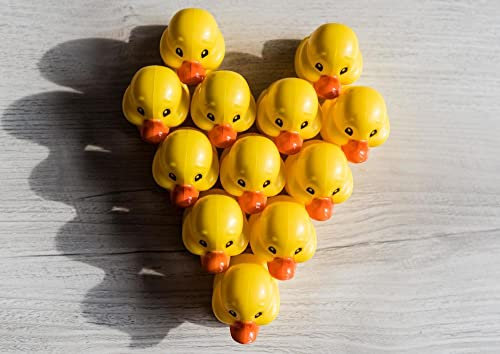 hansepuzzle 29349 - Herz für Enten Puzzle 260 Teile | Gefühle Puzzle mit hochwertiger Puzzle Aufbewahrung: Kartonbox und wiederverschließbarem Beutel | Puzzle-Maße: 41 x 28,7 cm