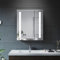 ELEGANT Bathroom Mirror Cabinet with Lights and Shaver Socket, 600 x 700mm Illuminated LED Mirror with Stainless Steel Cabinet, LED Bathroom Cabinet