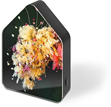 Zwitscherbox Soundbox mit Blumenhimmel, Vogelgesang, Schwarzwald-Natur, Bewegungsmelder, entspannendes Vogelgesang, Schreibtisch und Heimdekoration, wiederaufladbarer USB, 13 cm x 16 cm