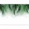 murando PREMIUM Papier peint Palmier Feuilles 350x256 cm Décoration Murale XXL Poster Tableaux Muraux Tapisserie Photo Feuilles Nature Motif vegetal Botanique Vert b-A-10317-a-a