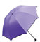 Maibar Regenschirm für Frauen UPF 50 Regenschirm UV Hand Sonnenschirme UV schutz Blume Taschenschirme (Nelke lila)