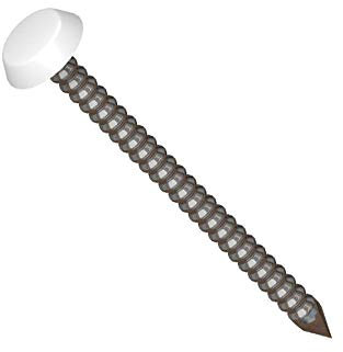30mm White Poly Top Pin Nails Stainless Steel with PVC Head for Fascia (Ribbed for Extra Drive Support) (1000)