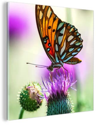 MuchoWow Glasbild Glasfoto Wandbild Bilder Deko 20x20 cm Schmetterling - Blumen - Insekten