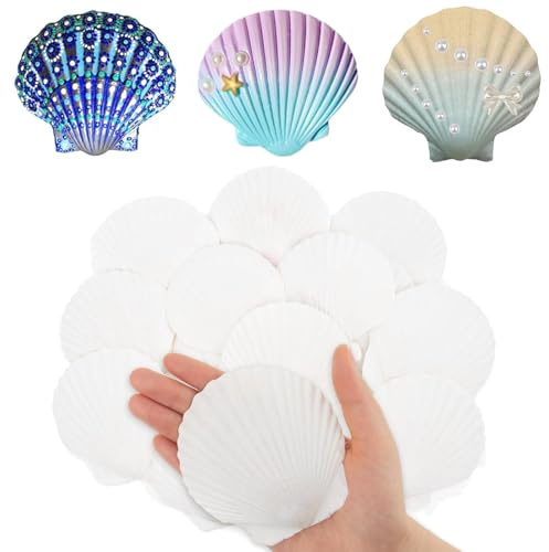 YOYEAH 20 Stücke Jakobsmuscheln (7-8 cm) - Natürliche Große Bastel- und Dekomuscheln mit Loch für Heimdekoration, Aquarium, DIY-Projekte und Party