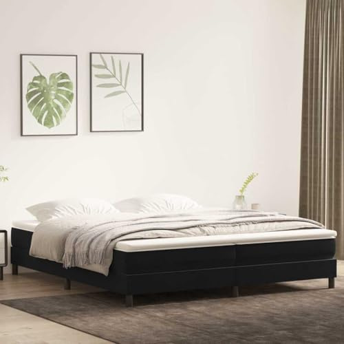 Tonture Boxspringbett ohne Matratze Schwarz 200x210 cm Samt, Stabiler Bettrahmen, modernes Schlafzimmer Möbel, komfortabler Betten Unterbau