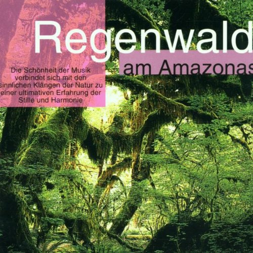 Regenwald am Amazonas
