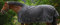 PFIFF 102836 Outdoordecke Highneck, Redendecke, leicht gefütterte Winterdecke, wasserdichte Weidedecke, Decke ohne Rückennaht, Polyester Futter, 150g/qm, Schwarz-Blau, 165