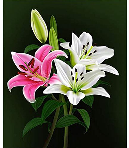 Ideen mit Herz 5D Diamond Painting | Diamant Painting Set | 30 x 40 cm | Motivleinwand | runde Steinchen | inkl. Zubehör | verschiedene Bilder zur Auswahl (Lilien)
