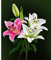 Ideen mit Herz 5D Diamond Painting | Diamant Painting Set | 30 x 40 cm | Motivleinwand | runde Steinchen | inkl. Zubehör | verschiedene Bilder zur Auswahl (Lilien)
