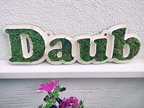 Individuelles Moosbild mit Namen – 3D-Schriftzug aus echtem Moos – Natur Wandbild personalisiert – handgefertigte Deko für Zuhause – nachhaltig, pflegefrei, einzigartig – Wunschtext auf Holz Acrylglas