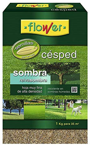 FLOWER Semillas CESPED SOMBRA1 KG