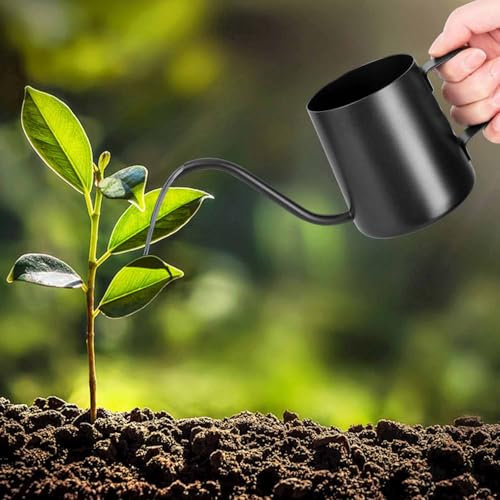 Norhogo Innaffiatoio da 350 ml, nero, piccole piante da interno, in acciaio inox, con beccuccio lungo a collo di cigno, annaffiatoio da giardino per piante grasse