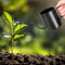 Norhogo Regadera negra de 350 ml, para plantas de interior, mini regadera, acero inoxidable, con pico largo de cuello de cisne, regadera para plantas de interior y plantas suculentas
