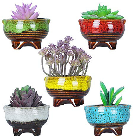 ARTKETTY Lot de 5 Petits Pots à succulentes en céramique émaillée avec Drainage pour Cactus, Fleurs et Plantes d'intérieur, 10,2 cm
