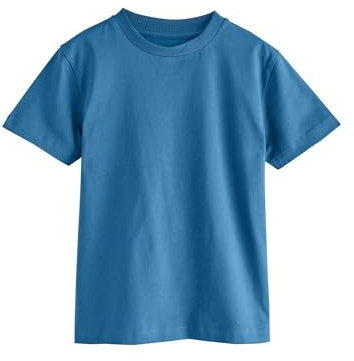 NEXT Jungen Reguläre Passform Regular Fit Kurzarm-T-Shirt Soft Blue 146
