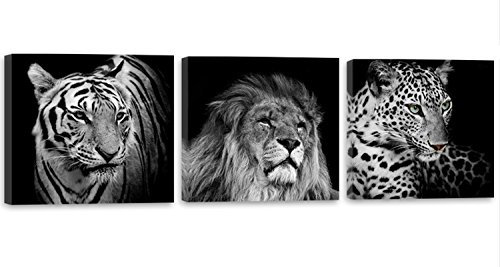 Feeby Impression Sur Toile 3 Parties Lion Tigre Éléphant 120x40 cm Tableaux Tableau Mural Image Moderne Photo Décoration Murale Design Chambre Salon Cuisine Animaux Afrique Safari Noir Et Blanc