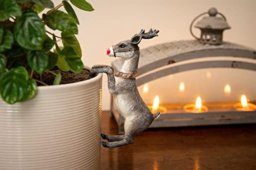 Pot Buddies Christmas Rudolf the Reindeer Plant Pot Hanger