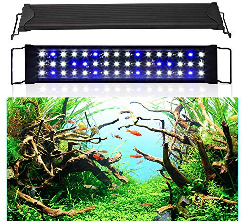 Izrielar Aquarium LED Beleuchtung, 10W Universal Aquarium Lampe, einstellbare Helligkeit, Blaues Licht und blau-weißes Licht, mit ausziehbarer Halterung, Aquarienbeleuchtung für Süßwasser-Aquarien
