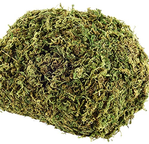 18 OZ Artificial Moss for Potted Plants & Fake Plants - Faux Decorative Moss for Planters & Craft