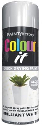 DIOXSTAR Brilliant White Gloss Spray Paint, 250ml (1 PCS), Quick Drying, All Purpose, Suitable for Metal, Plastic & Wood Surfaces, Interior & Exterior Use