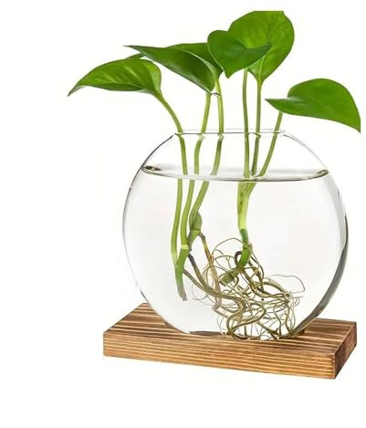 Eleganti fioriere rotonde in vetro con supporto in legno per piante idroponiche, fioriere rotonde in vetro, decorazioni da tavolo (marrone)