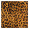 CaTaKu Leoparden-Servietten, Cocktail-Servietten, Löwen-Motiv, waschbar, wiederverwendbar, für Partys, Zuhause, Küche, Dekoration, 50,8 x 50,8 cm Casual 20 x 20 mehrfarbig