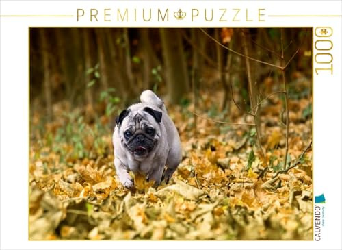 CALVENDO Puzzle Mops im herbstlichen Wald | 1000 Teile Lege-Größe 64 x 48 cm Foto-Puzzle für glückliche Stunden