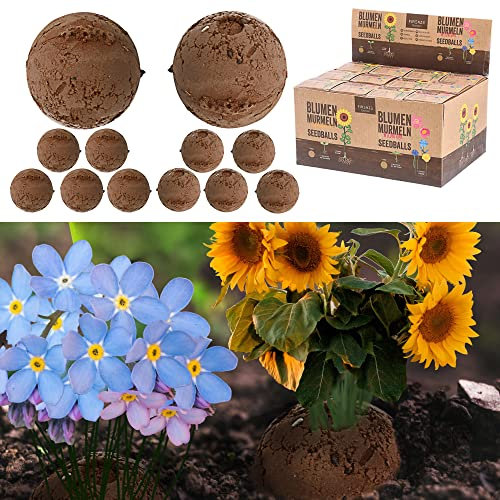 Saatbomben 12er Set │2fach sortiert Ton Erde Saatgut │ Wildblumen Sonnenblumen Blumensamen Saatgut